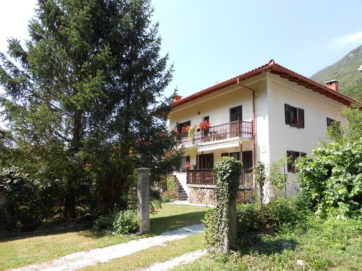 And Zonir With Sauna Appartement