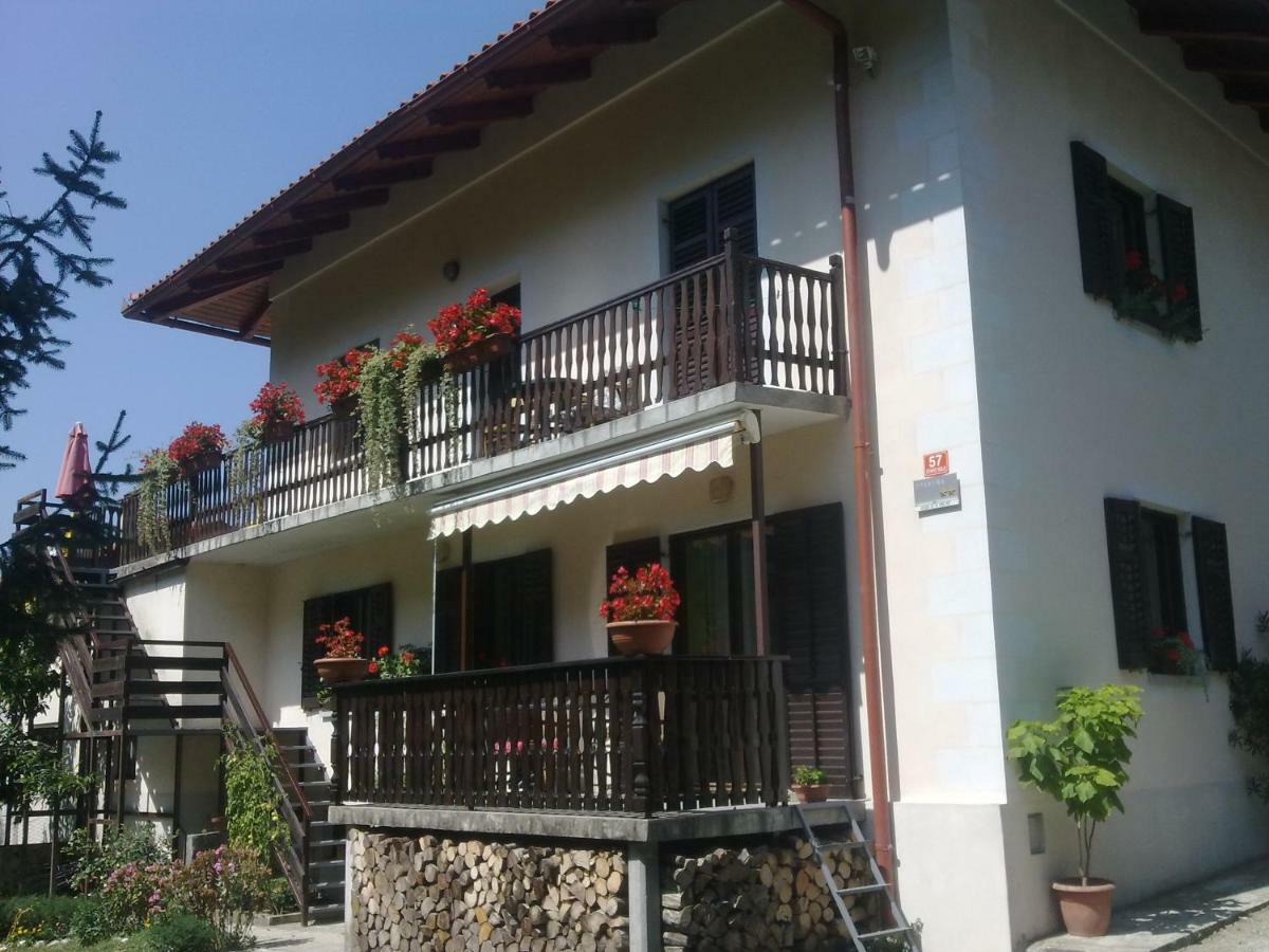 Appartement And Zonir With Sauna Kobarid